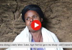 VIDEO - Integrated community capacity development, Food Security, Livelihoods Improvement and Agroecology in Ethiopia